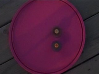 beyblade crew battles