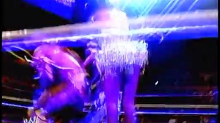 005. Randy Savage vs. The Ultimate Warrior (WrestleMania VII 1991 Retirement match)