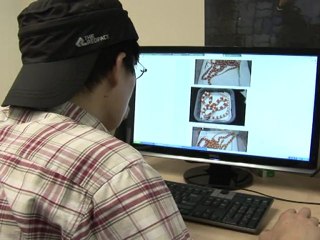 Descubra os Benefícios de Ter uma Jibóia ou Camaleão Pigmeu como Pet 🦎 - thumbnail