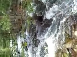 AKBULAK KÖYÜ YAYLA