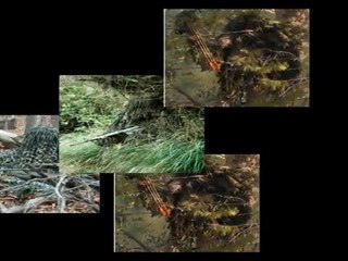 Ghillie Suits