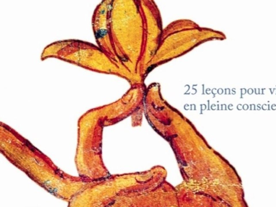 MÉDITER, JOUR APRÈS JOUR. 25 leçons pour vivre en pleine conscience. Par Christophe André (ed. l'iconoclaste)