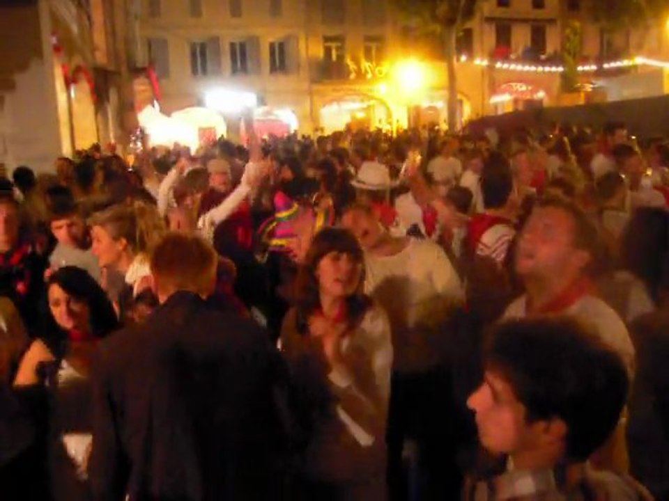 Féria de Vic Fezensac 2011 - Hegoak