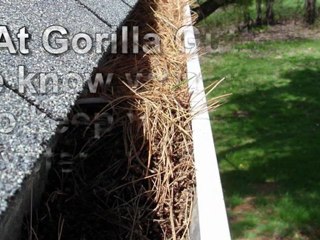 Berkeley Gutter Cleaner