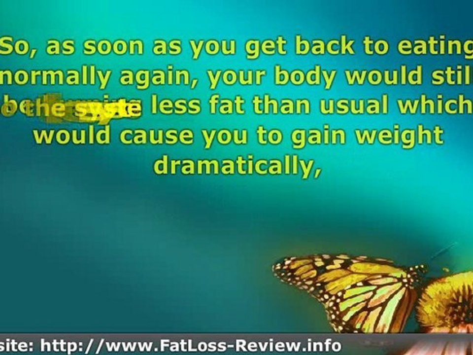 Fat Loss 4 Idiots Review: The Shocking Truth About Fat Loss