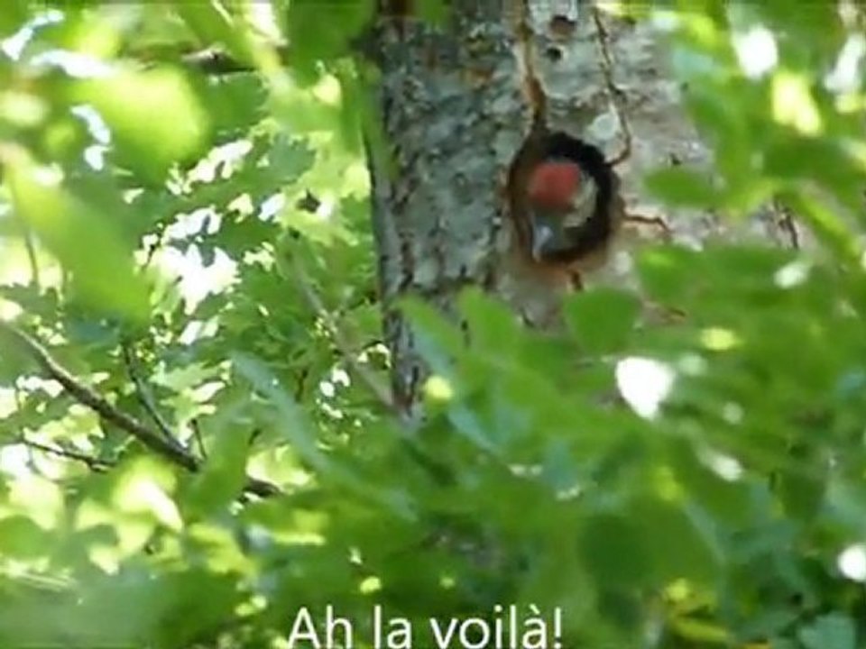 Au fil de l'eau