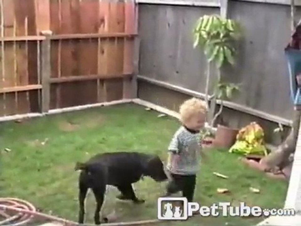 Jacob vs. the Dog