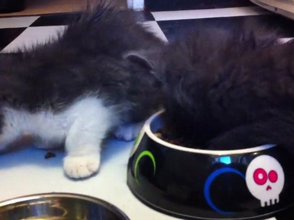 a la graille!!!!!!! ^^