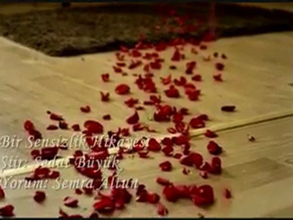 Bir Sensizlik Hikayesi (Semra)