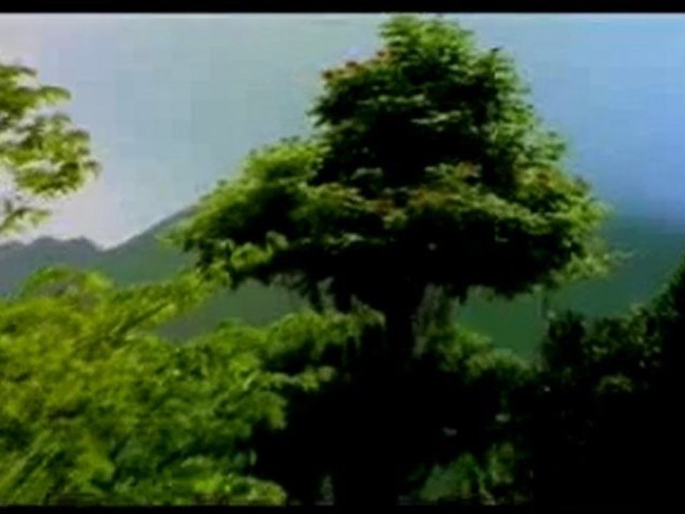 Çevremizde her an her saniye yaşanan mucizeler