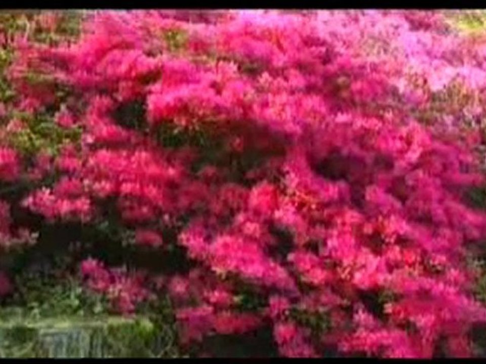 Her an her saniye nimetlere şükretmek