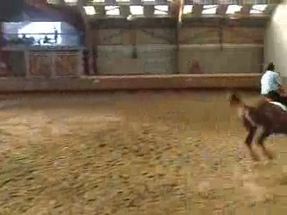 spectacle équestre au domaine des combelles !!!