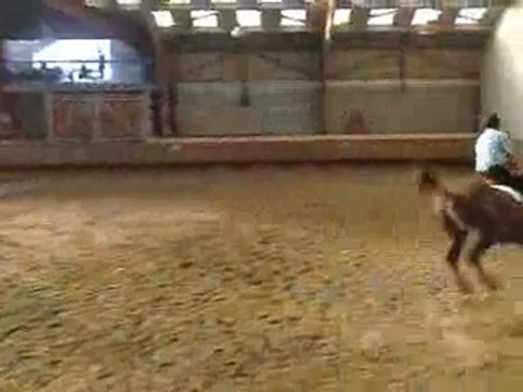 spectacle équestre au domaine des combelles !!!