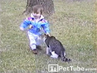 Cat Bumps Baby