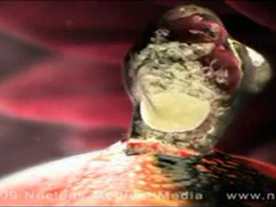 Fertility Treatment in Thailand - Ovulation video