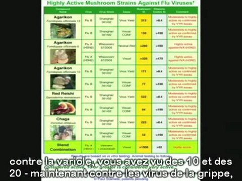 Paul Stamets - des champignons pour sauver le monde