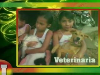 Susana Portela y las brigadas para ayudar a la comunidad