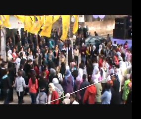 Çınar Belediyesi 8 Mart 2010 Kadın Şöleni