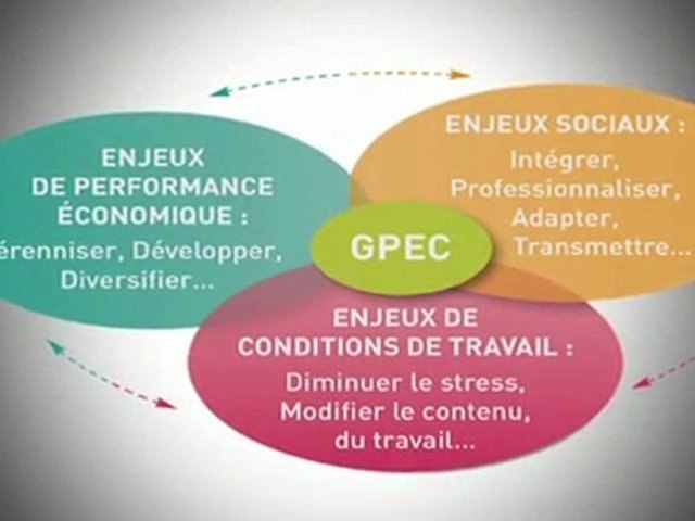 Exemple De Questionnaire Sur La Gpec  gretamanut