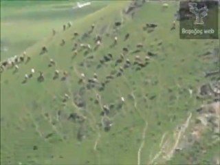 Başağaç web, Su deposu üstleri