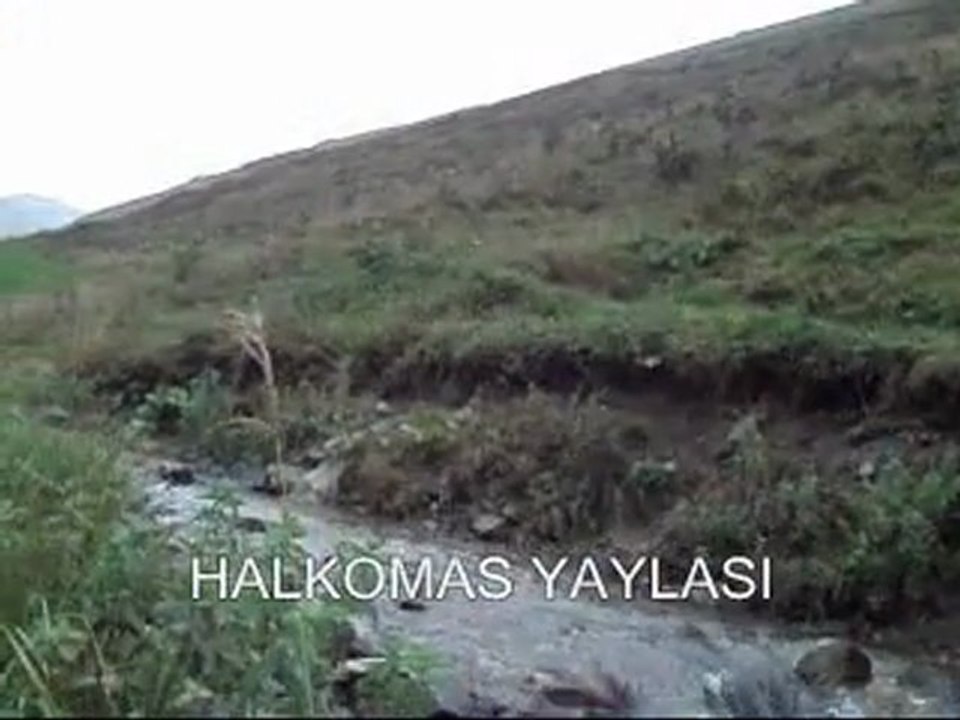 HALKOMAS YAYLASI_0001
