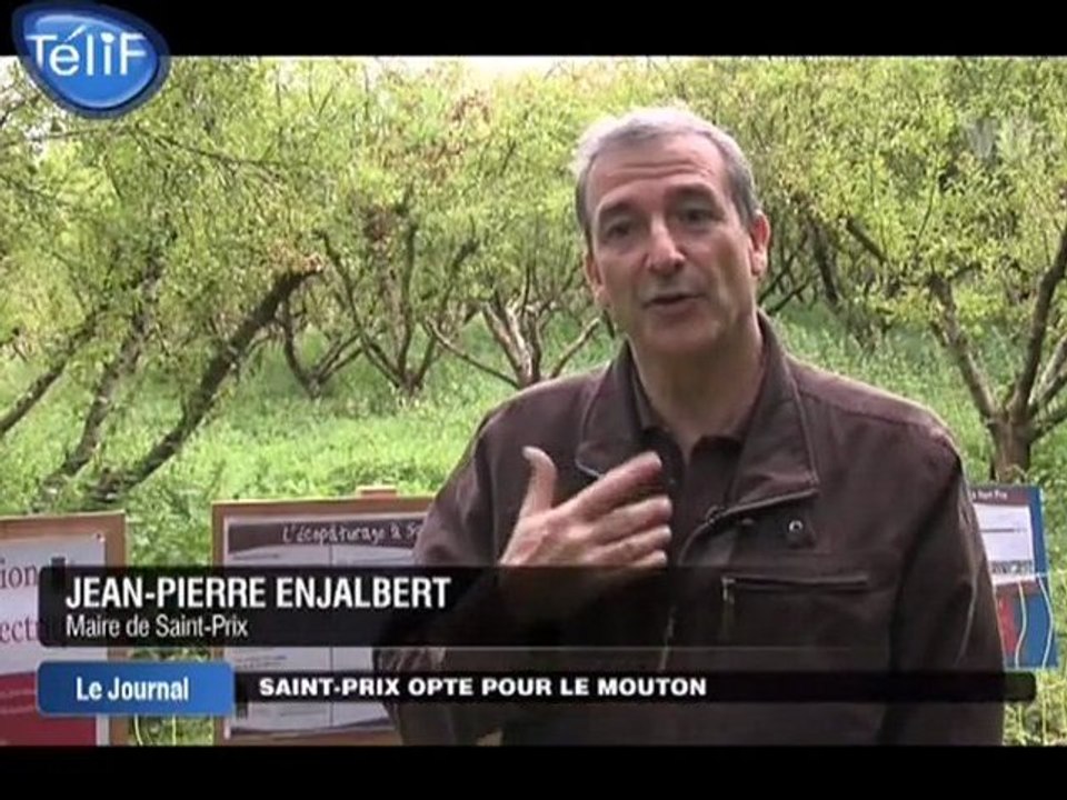 Eco-pâturage : Saint-Prix opte pour des moutons !