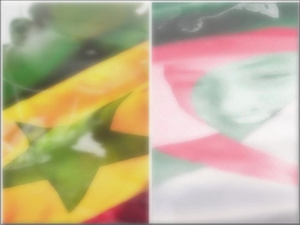 Y'a trop bitch ( Musique Mp3 )