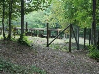 Faverolles