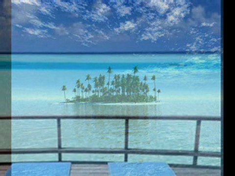 Interprétation du lac des cygnes par Damien DUBOIS