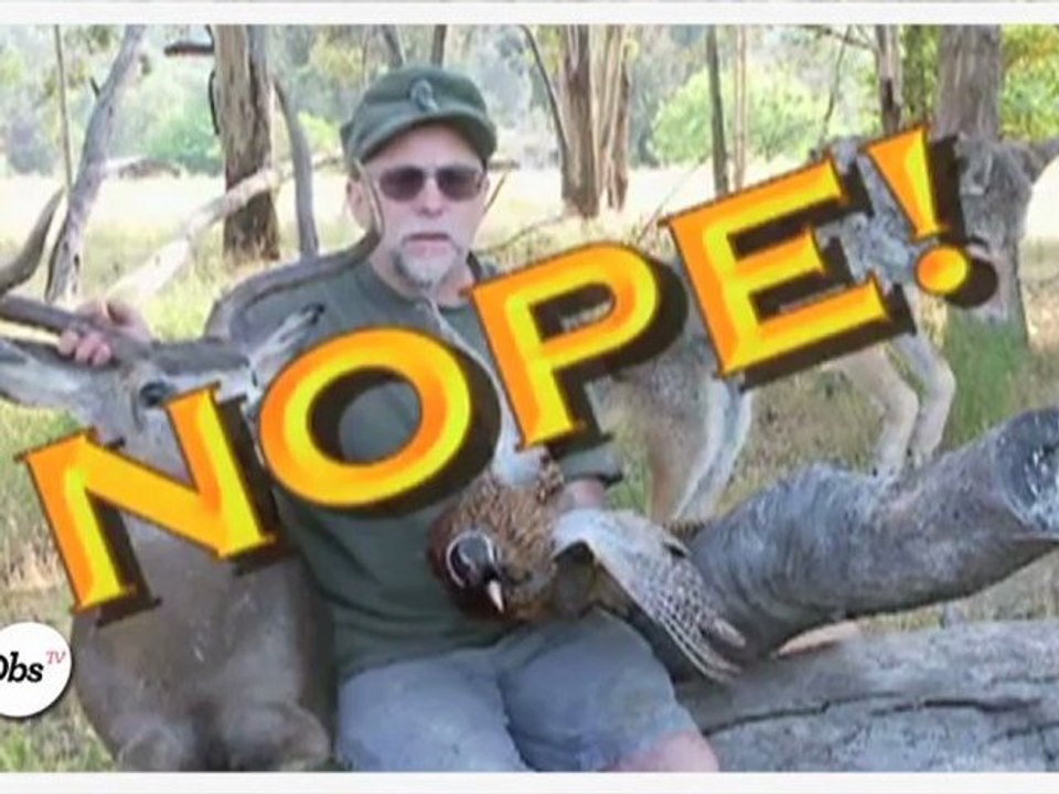 Zapping décalé : La pire publicité de tous les temps