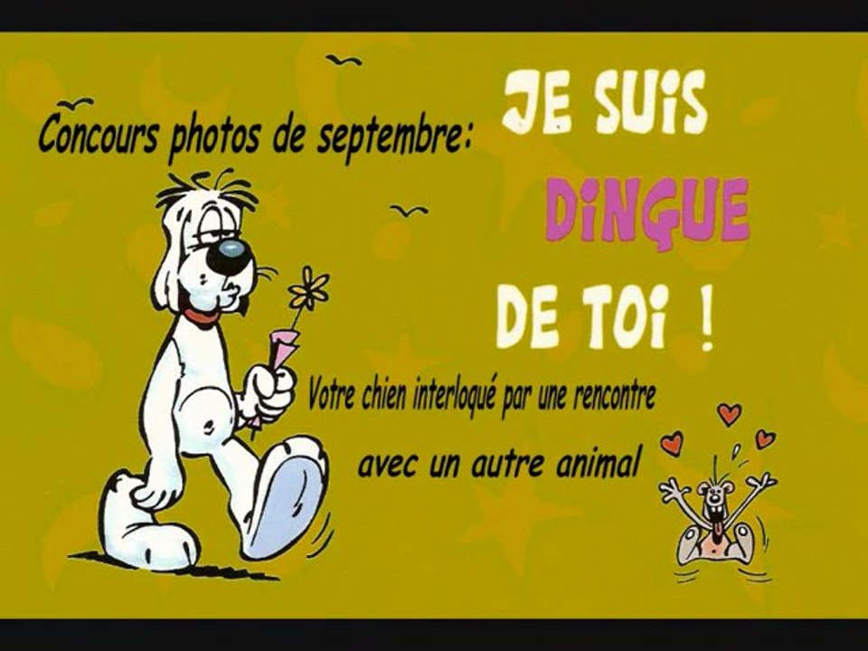 concours photos de septembre 2011