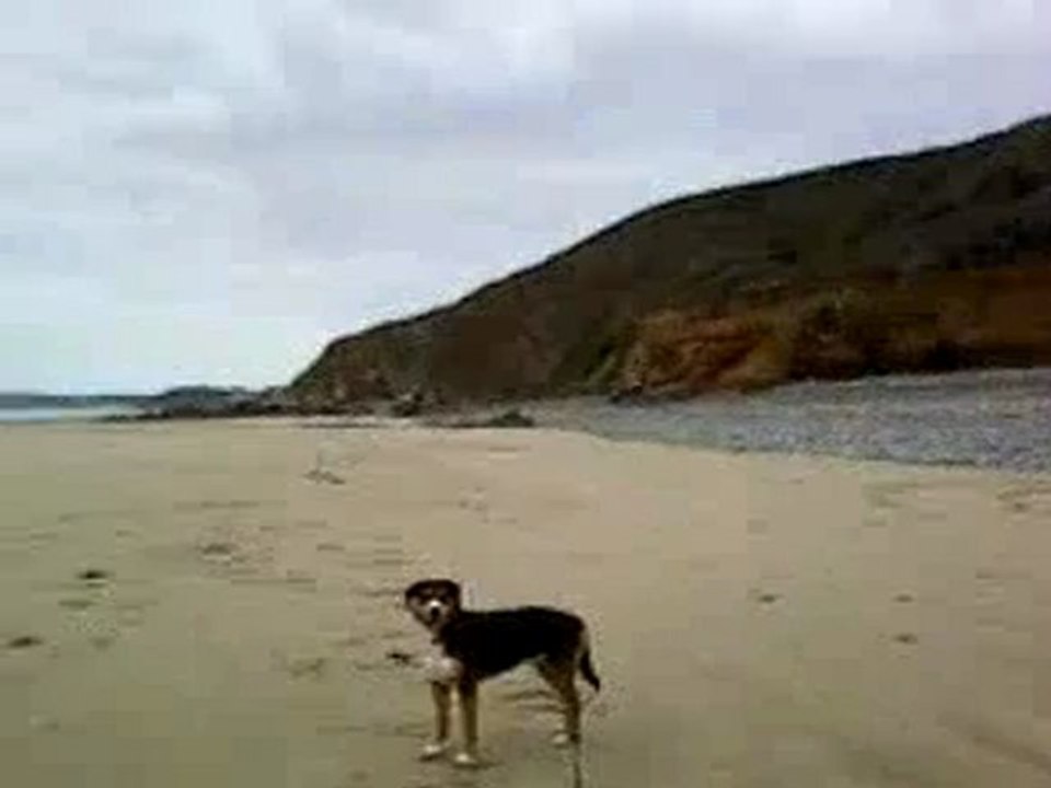 arrivée sur la plage