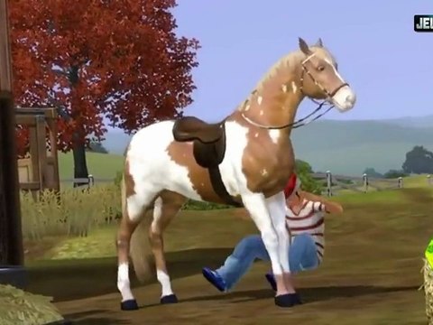 Les Sims 3 Animaux et Compagnie : le Webisode 1 avec Shy'm