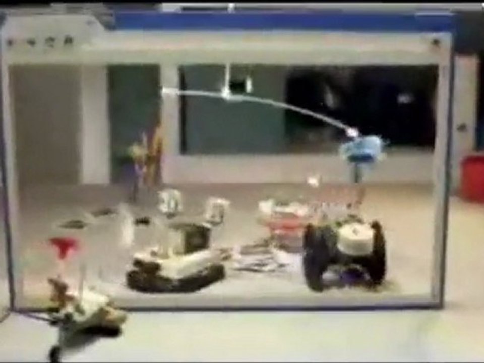 Komik videolar 2011