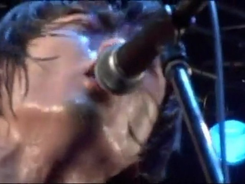 STANCE PUNKS - ikareta boogie (PV／DV mania!)