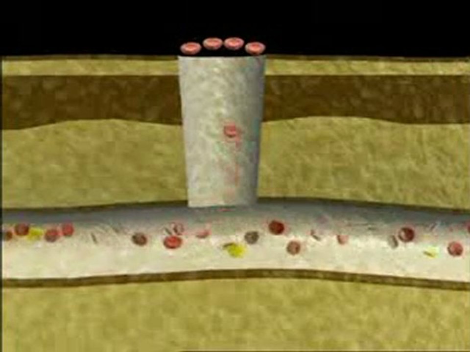 Nasıl düşünelim?