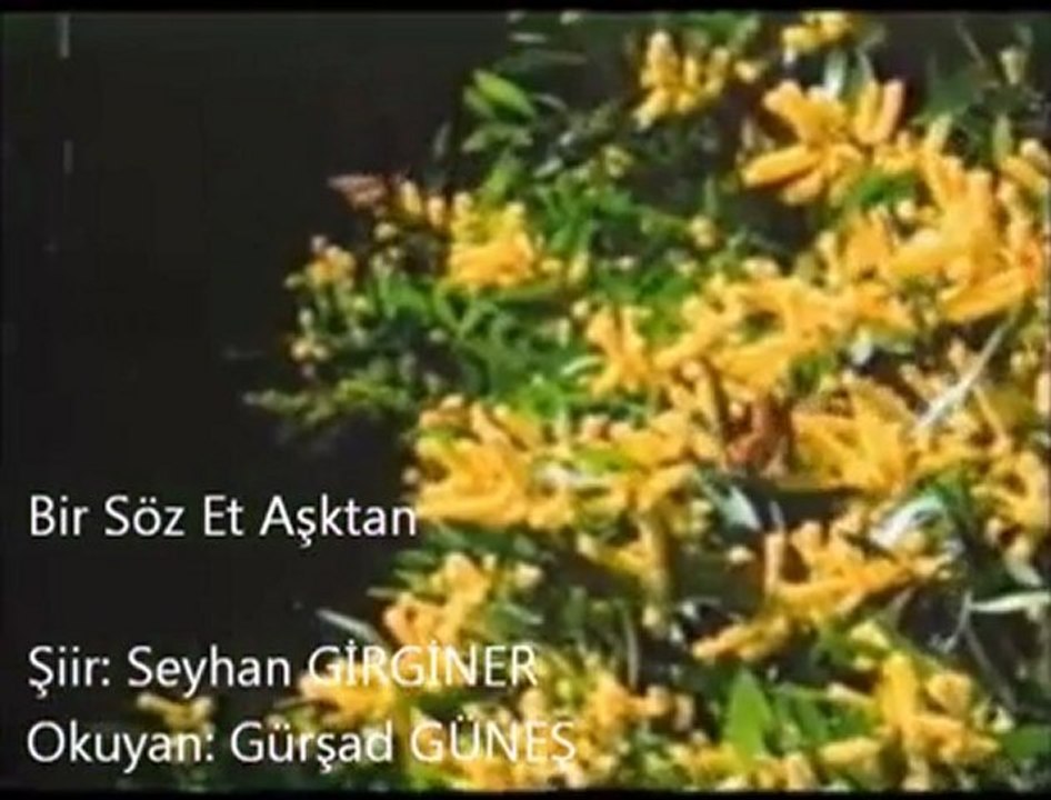 BİR SÖZ ET AŞKTAN  gerisi hikaye(((