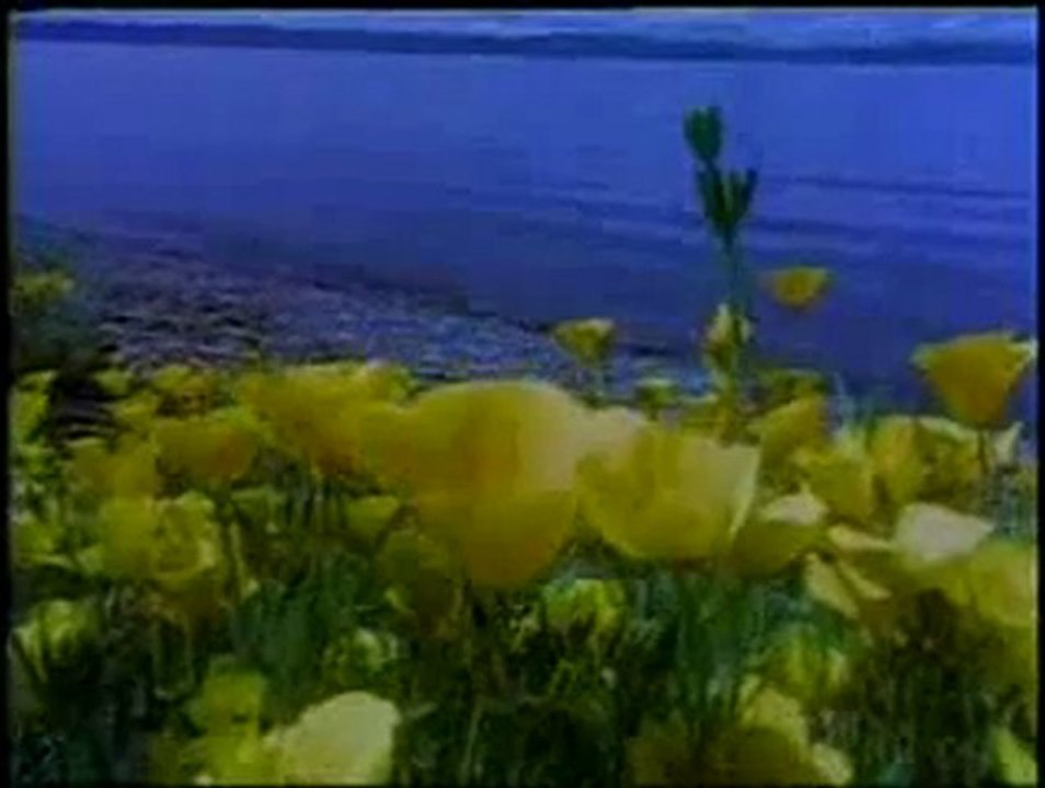 Bilgi ve delilleri daha iyi görebilmek