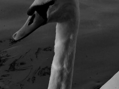 Saber Rebai Classics(Remumber You)كلاسيكيات صابر الرباعي (اتذكرك) 1