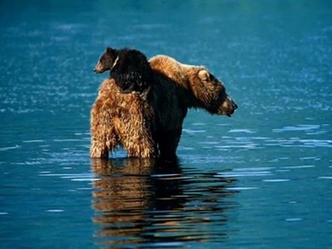 Gün Ağarırken - Efkan Şeşen (Mustafa Dinç)