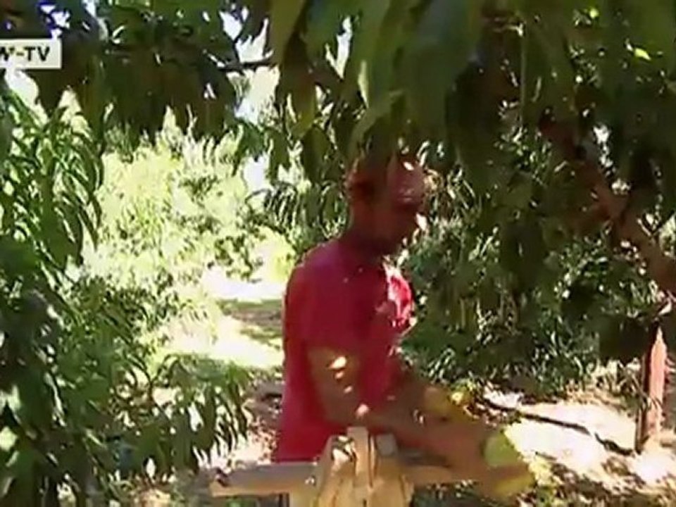 Greece - Can anything help anymore? | Made in Germany