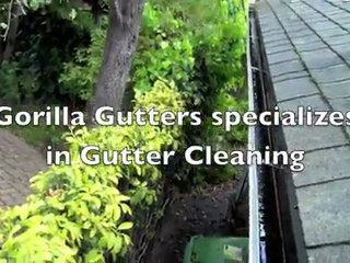 Berkeley Gutter Cleaning Company