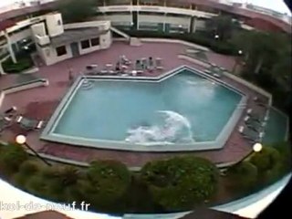 Saut epic et stupide