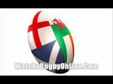 watch Live Rugby World Cup South Africa vs Namibia streaming