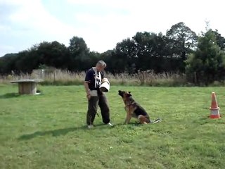 edy du domaine du val d'aulnoy entraînement