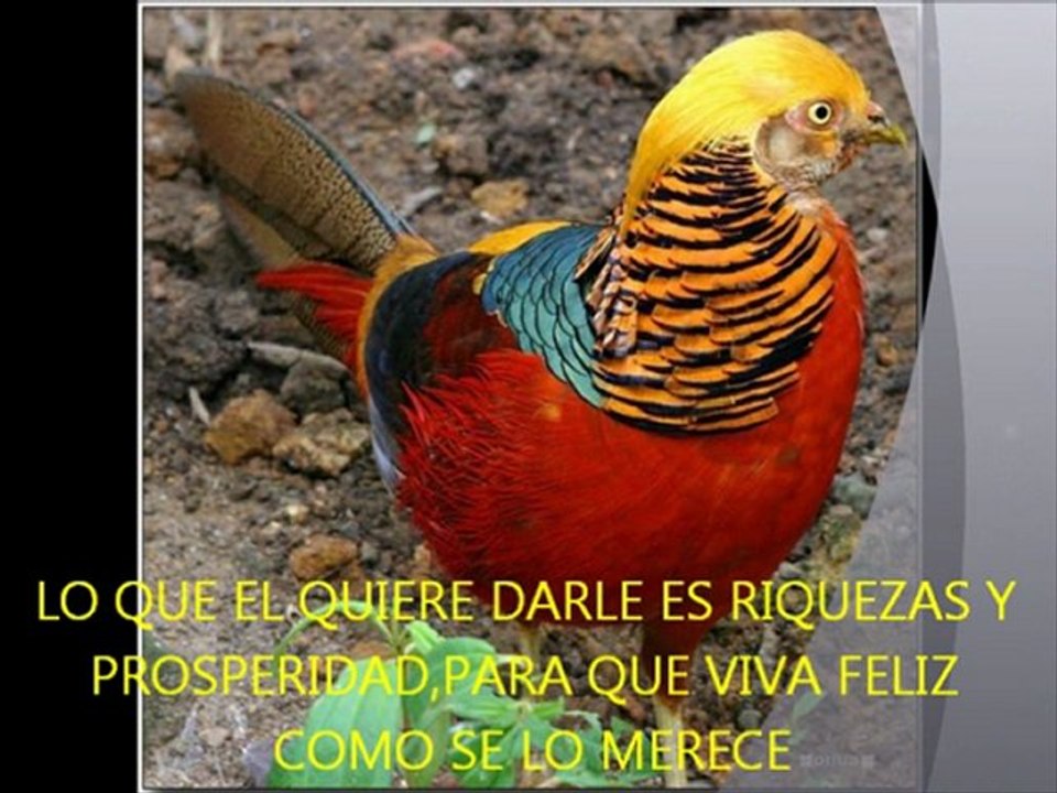 dios todo lo puede