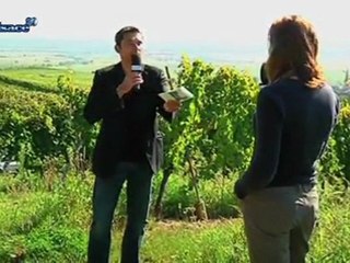Mucoviscidose: des randonnées solidaires (Alsace)