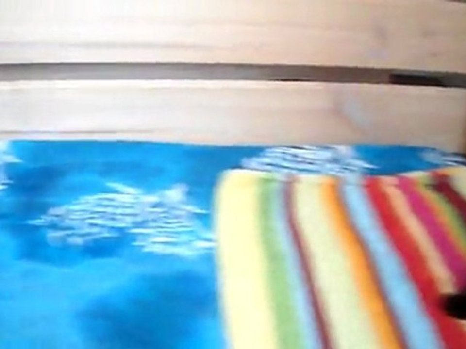 couinenemt