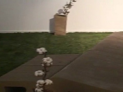 Discapacitados elaboran muebles de cartón ecológicos