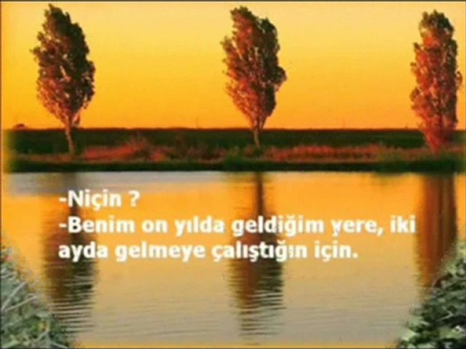Kavak Ağacı ile Kabak
